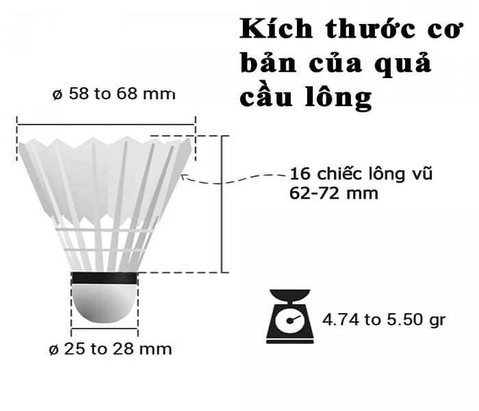 kic-thuoc-tieu-chuan