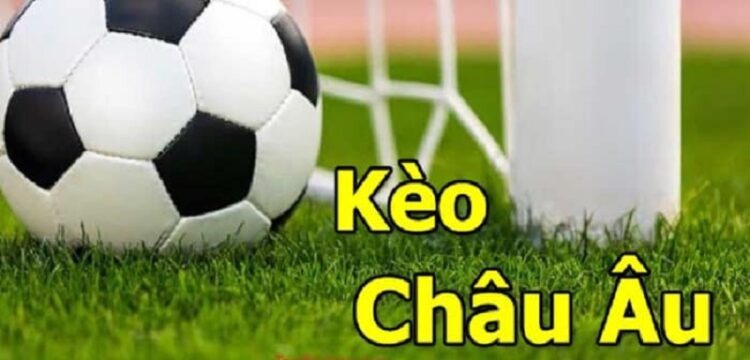       Kèo chuẩn TV - nơi cập nhập các nhận định bóng đá soi kèo nhanh nhất hiện nay