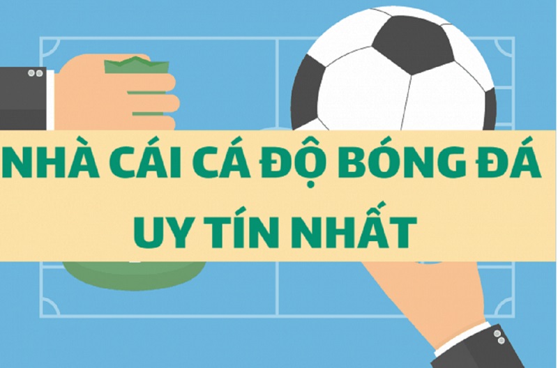 lam-the-nao-de-lua-chon-nha-cai-ca-cuoc-bong--da-uy-tin